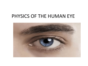 PHYSICS OF THE HUMAN EYE