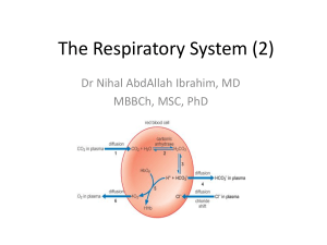 The Respiratory System (2)