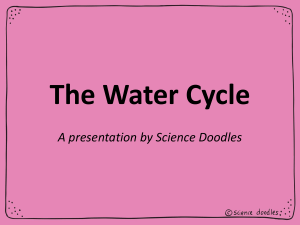 14 The Water Cycle