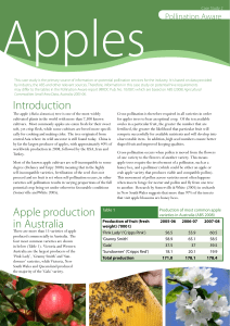 Apple production in Australia