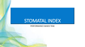 stomatal indexpptx 2