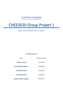CHEE3020 P1 Report EX Group 06 Final(Draft)