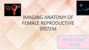 female reproductive system radiology