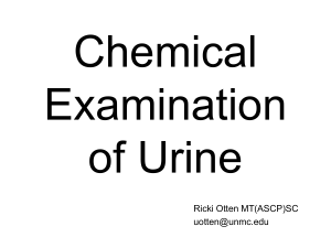 Chemical  Exam of Urine Lecture PPT
