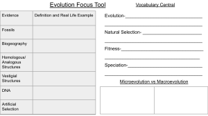 Evolution Focus Tool