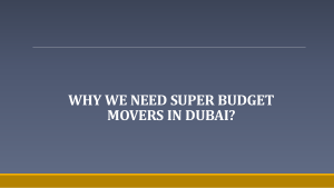 Why We Need Super Budget Movers in Dubai