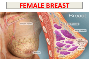 THE BREAST