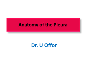Anatomy of the Pleura