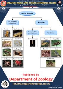 Classfication animals