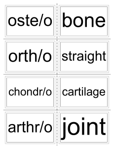 Ch.4 bone muscle vocab cards