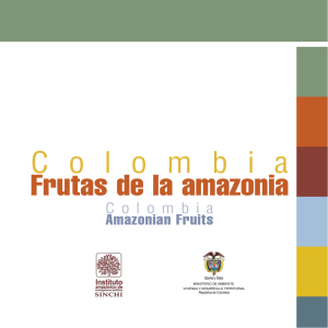 Frutas de la Amazonia Colombia