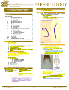m03-the-strongylida-hookworms-dr-ayochok-