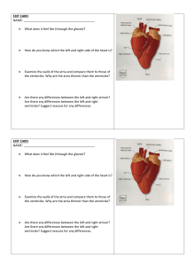 Heart Dissection Exit Card