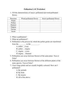 Pollination L-01 Worksheet