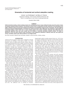 Kinematics of horizontal and vertical caterpillar crawling