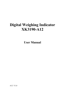 Digital Weighing Indicator XK3190-A12