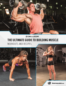 the-ultimate-guide-to-building-muscle