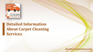 Detailed Information About Carpet Cleaning Services