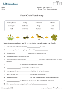 food-chain-cloze-activity-fun-activities-games-reading-comprehension-exercis 123184
