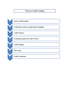 Audit Training Process