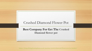 Buy 100% Crushed Diamond Flower Pot (2021) - King of Bling