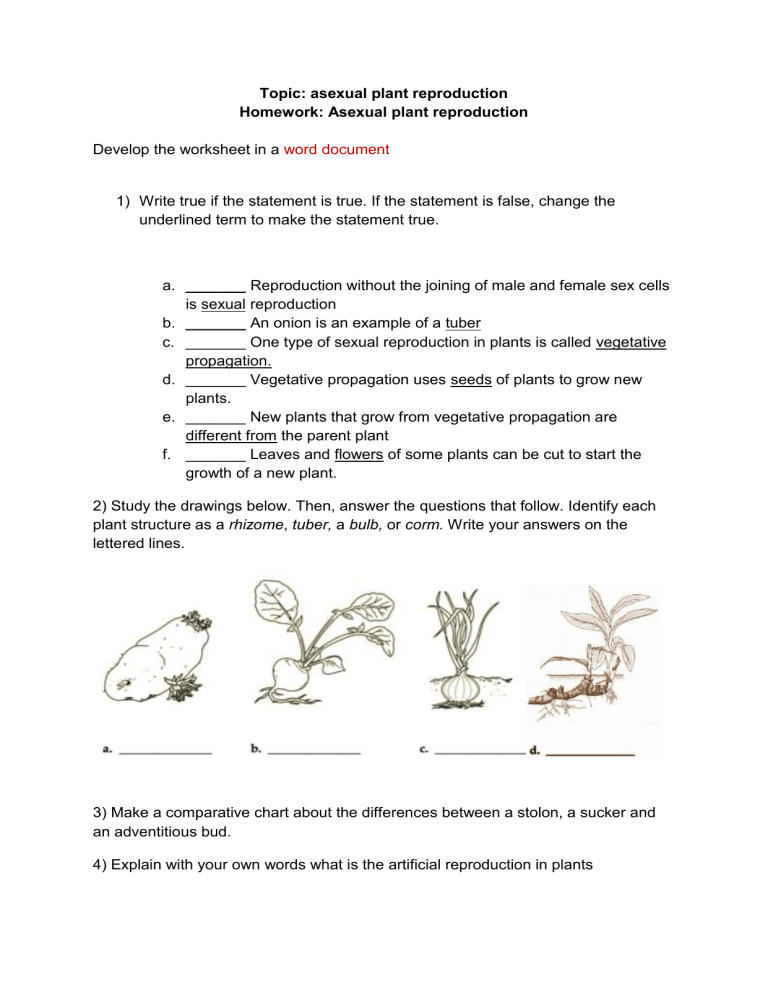 quiz-worksheet-asexual-plant-reproduction-study-com-my-xxx-hot-girl