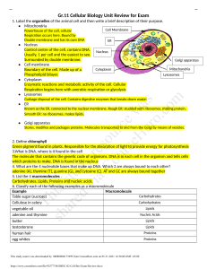 SBI3C 02 Cell Bio Exam Review .docx