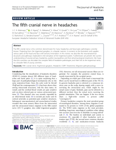The fifth cranial nerve in headach