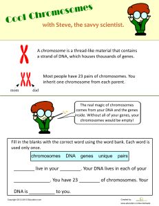 what-is-a-chromosome (3)