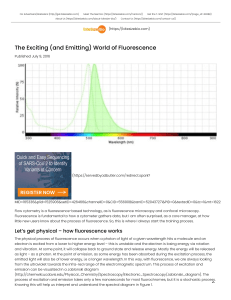 The Exciting (and Emitting) World of Fluorescence