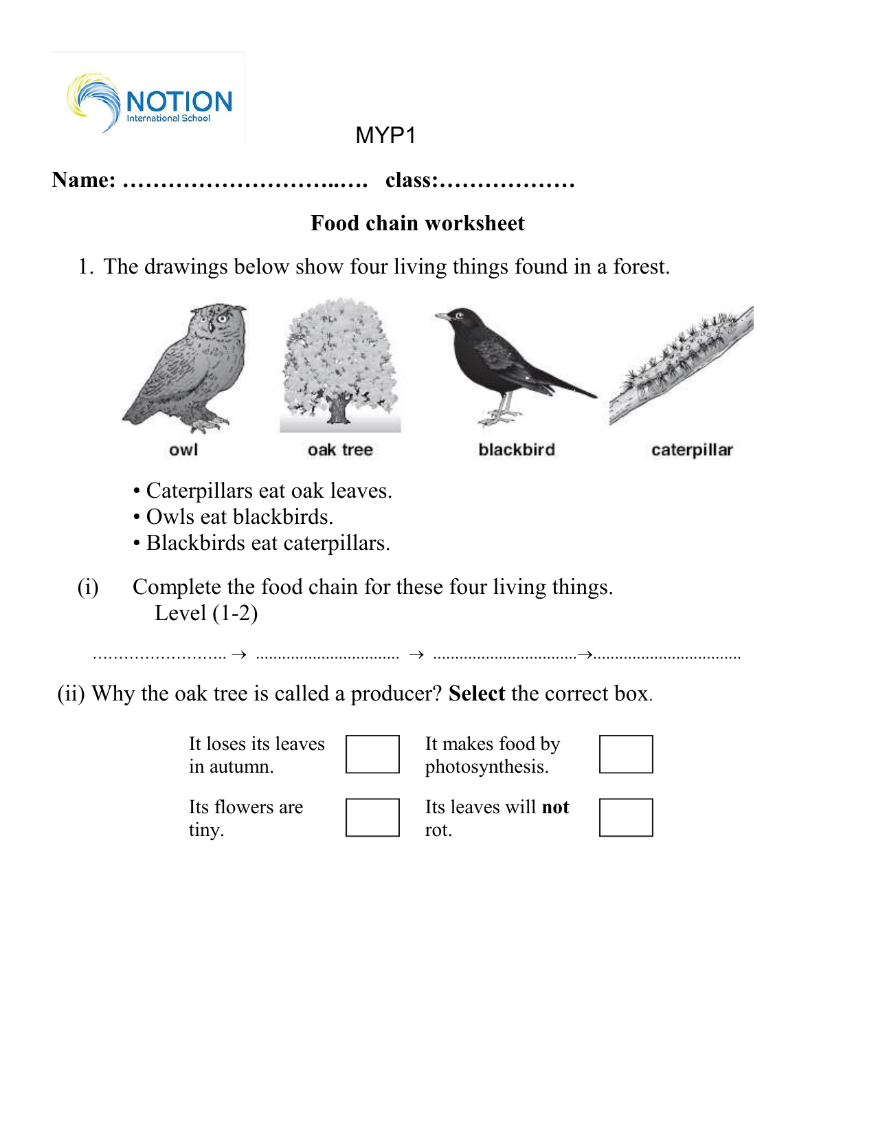 food web worksheet