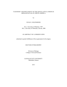 Lappula Taxonomy & Phylogeny in North America Dissertation