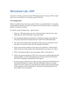 Wireshark UDP