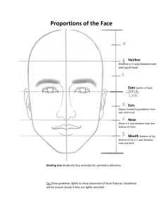 Drawing Proportions of the Face with Labels