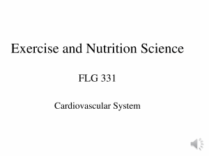 FLG 331 Cardiovascular System