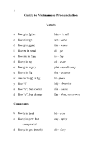 Guide to Vietnamese Pronunciation