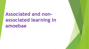 Associated and non-associated learning in amoebae