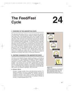 Feed/Fast Cycle: Absorptive State & Liver Metabolism