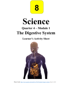4Q Learning Packets Week 1-Digestive System