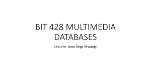 BIT 428 MULTIMEDIA DATABASES Interlude to the unit