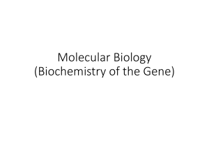 Biochemistry of the Gene