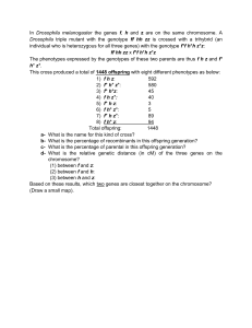 Recombination exercise