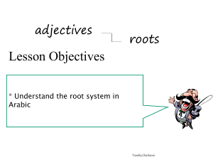 rootsystemgr