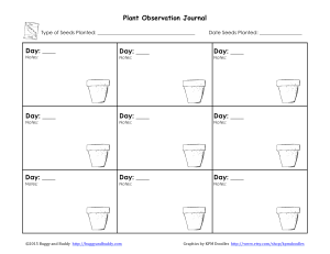plant observation journal (1)