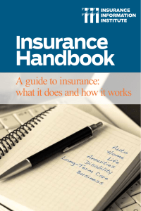 Insurance Handbook 20103