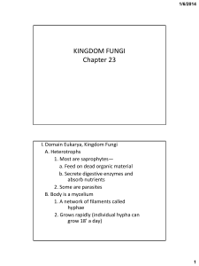 11 Chapter 23 Kingdom FungiWB