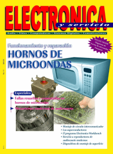 EySer 10 - Hornos Microondas (Dic 1998)