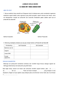 Lembar Kerja Sel: Prokariotik vs Eukariotik