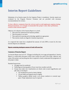 Guidelines on Interim Report