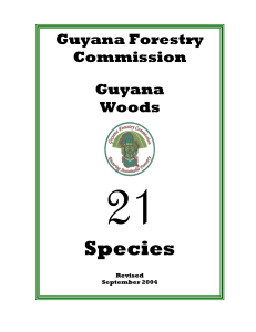 Timber Species in Guyana